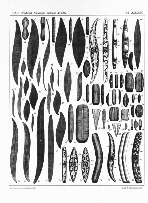 Meunier (1910, pl. 35) Meunier (1910, pl. 35)