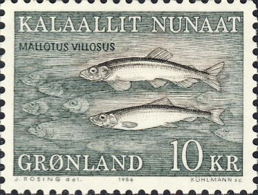 Mallotus villosus