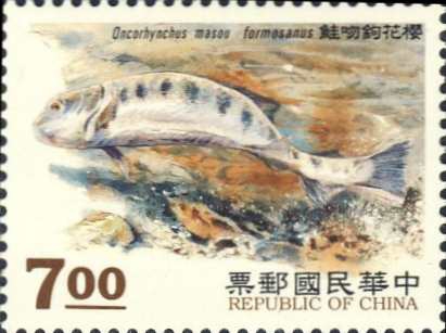 Oncorhynchus masou