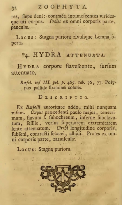 Pallas (1766), page 32 Pallas (1766), page 32