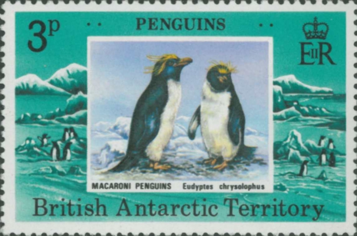 Eudyptes chrysolophus