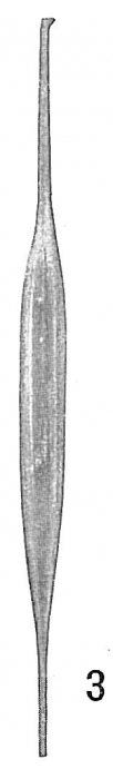 Lagena distoma