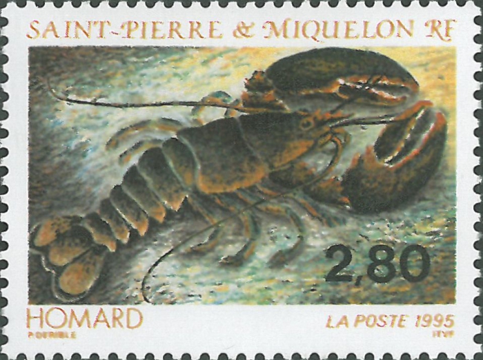 Nephropoidea sp.