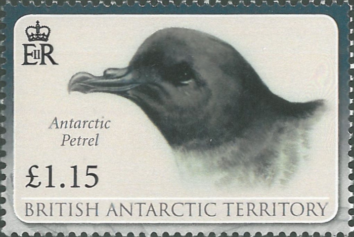 Thalassoica antarctica