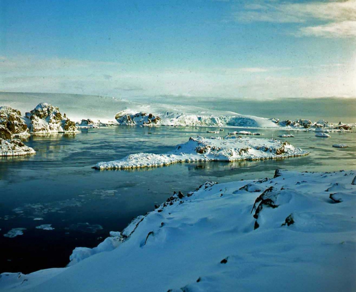 an island in the Fildes-Strait