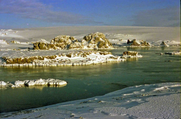 drifting ice in the Fildes Strait