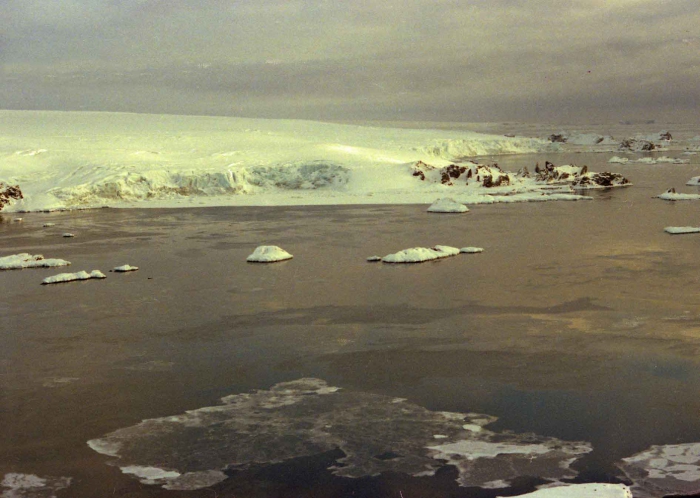 Evening in the Fildes Strait