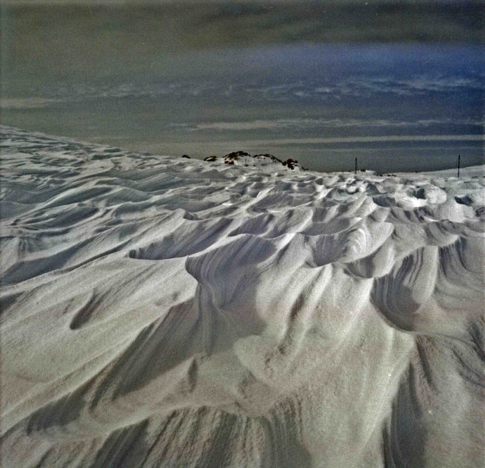 frosted snowdrifts (sastrugi) 2