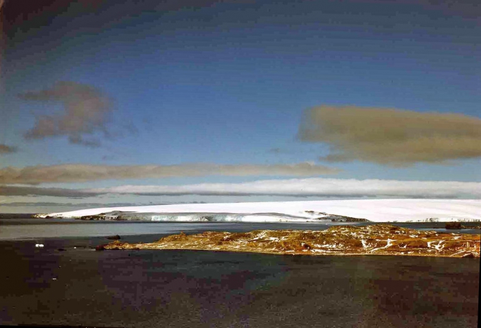 Island Ardley & the glacier of Nelson island