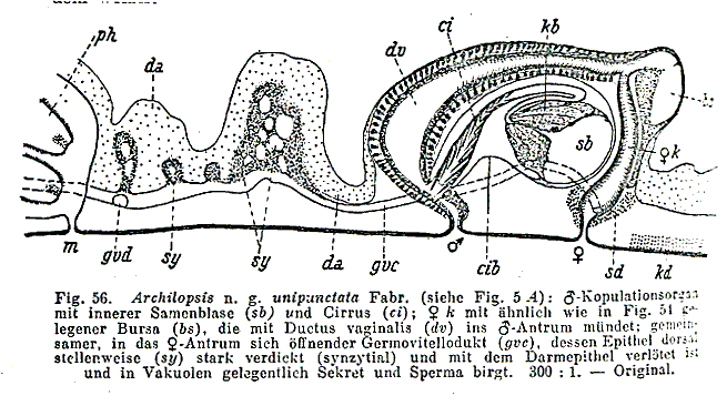 Worms World Register Of Marine Species