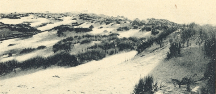 Massart (1908, foto 011)