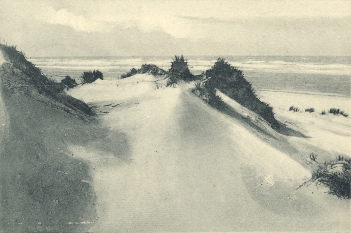 Massart (1908, foto 015)