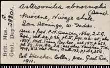 Label for a syntype of Trochocyathus abnormalis Duncan, 1864