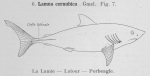 Gilson (1921, figuur 7)