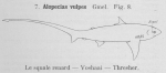 Gilson (1921, figuur 8)