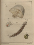 Slabber (1778, plaat 13)