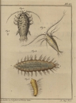 Slabber (1778, plaat 17)