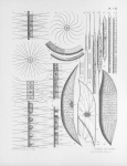 Meunier (1915, plaat 8)