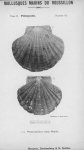 Bucquoy et al. (1887-1898, plaat 14)