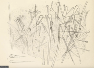 Eurypon simplex (Bowerbank, 1874), Plate LXXX, Figs. 2&3