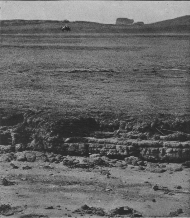 Massart (1913, foto 11)