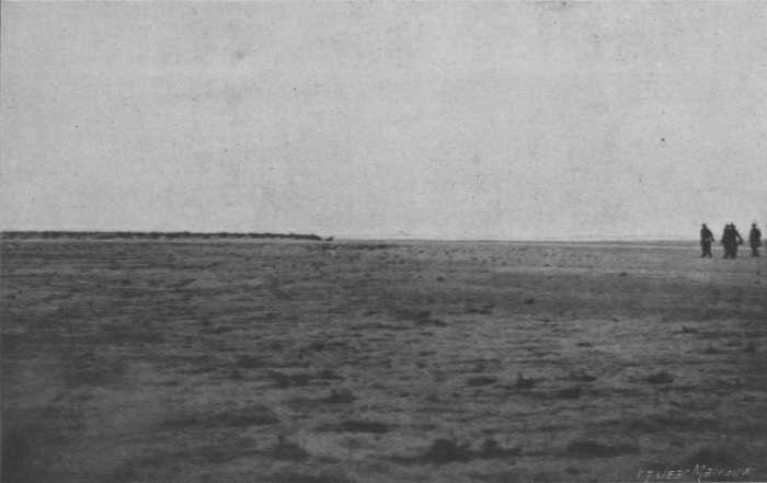 Massart (1913, foto 79)