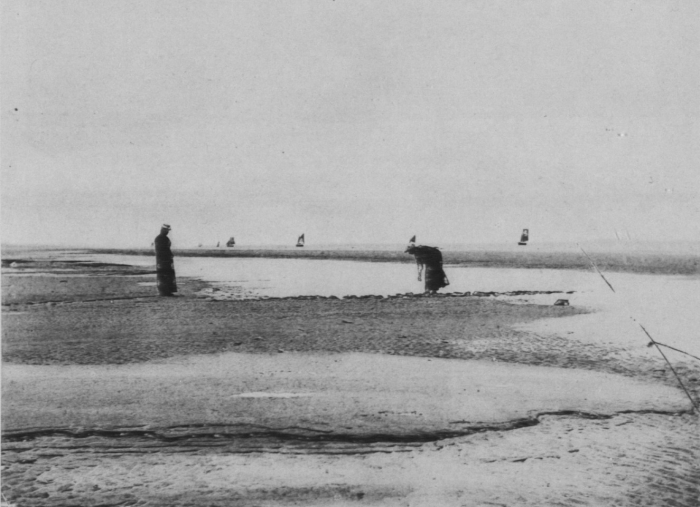 Wery (1908, foto 45)