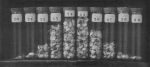 Wery (1908, plaat 22 C.)