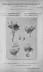 Bucquoy et al. (1882-1886, plaat 1)
