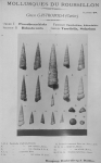Bucquoy et al. (1882-1886, plaat 28)