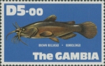 Ameiurus nebulosus Ameiurus nebulosus