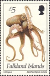 Benthoctopus eureka Benthoctopus eureka