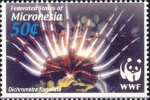 Echinodermata (Echinoderms)