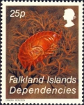 Epimeria monodon Epimeria monodon
