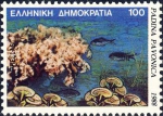 Padina pavonia Padina pavonia