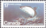 Coregonus canadensis Coregonus canadensis