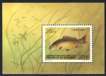 Cyprinus carpio Cyprinus carpio
