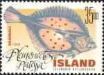 Pleuronectes platessa Pleuronectes platessa