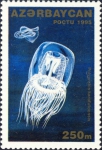 Polyorchis karafutoensis Polyorchis karafutoensis