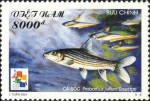 Probarbus jullieni Probarbus jullieni