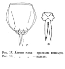Lecane nana