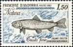 Salmo trutta Salmo trutta