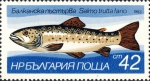 Salmo trutta Salmo trutta