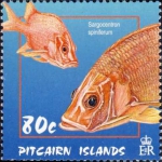 Beryciformes