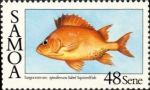 Beryciformes