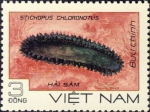 Stichopus chloronotus Stichopus chloronotus