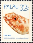 Synodus englemani Synodus englemani