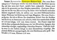 Ploesoma hudsoni