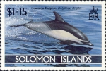 Delphinus delphis Delphinus delphis