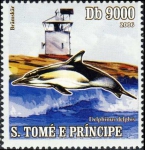 Zweden, Br�msk�r & Delphinus delphis